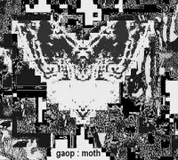 gaop - Moth