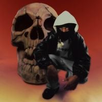 $NOT - Viceroy