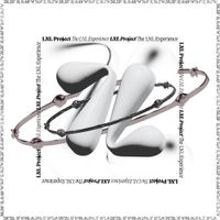 LNL Project - The LNL Experience
