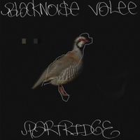 Valee & Black Noi$e - Partridge
