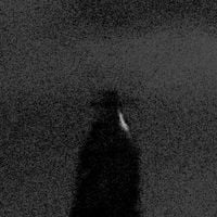 pinecrest - shadow