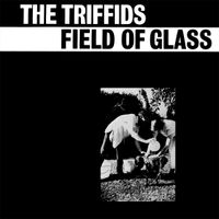 The Triffids - Field Of Glass