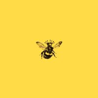 T H R O N E - ROYAL JELLY