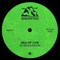 Introversion - Sea Of LIfe