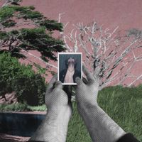 Half Shadow - 5 New Songs of Half Shadow
