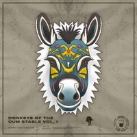 Donkey Cum Collective - Donkey of the Cum Stable Vol. 01