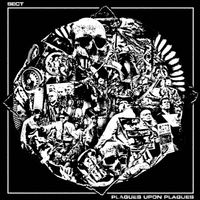 SECT - Plagues Upon Plagues