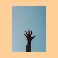 basicluvv - reach