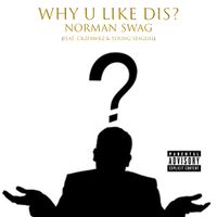 Norman Swag - Why U Like Dis?