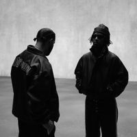 basicluvv - MAJOR DISTRIBUTION