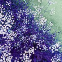 Burial Etiquette - Held Tight in Fragile Embraces