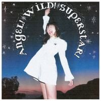 Ha Vay - Angel! Wild! Superstar!
