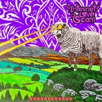 Internet Love Scam - ZXCZCSCSVXVX