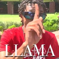 Lil Henjin - Llama