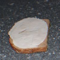 WONTON - HAM SANDWICH