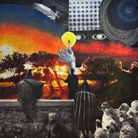 Tygris - Shadow Box
