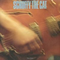 Scruffy The Cat - Tiny Days
