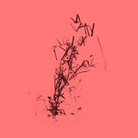 Sraigės Efektas - Tylos (Reworks)