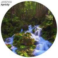 JOYSTYCK - Apricity