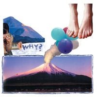 WHY? - Elephant Eyelash