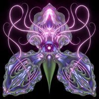 Jane Paknia - Orchid Underneath