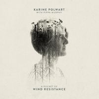 Karine Polwart & Pippa Murphy - A Pocket of Wind Resistance