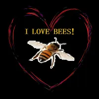 I Love Bees - i love bees