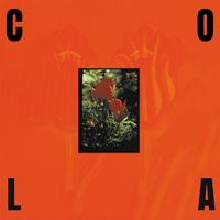 Cola - Albatross
