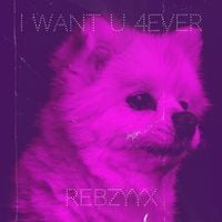 Rebzyyx - I Want U 4ever