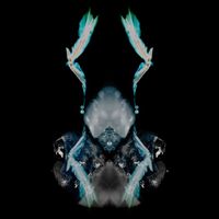 Wona - Thanatoid Butterfly