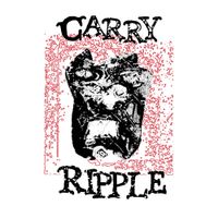 Carry Ripple - carry ripple