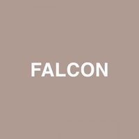 Jaden - Falcon