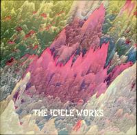 The Icicle Works - Birds Fly (Whisper to a Scream)