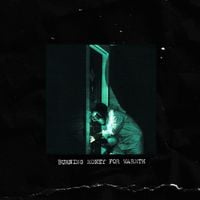 Control System - Burning Money for Warmth