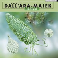 Ana Dall&rsquo;Ara-Majek - Radiolaria