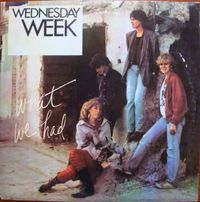 Wednesday Week - What We Had