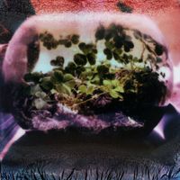 Death Of Heather - Forever
