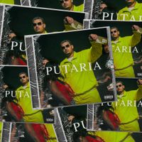 Putodiparis - PUTARIA