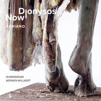 Dionysos Now! - Adriano⁵
