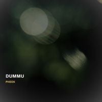 Pheek - Dummu