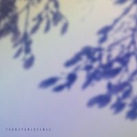 Pheek - Transparessence