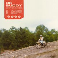 OK Buddy - Strays