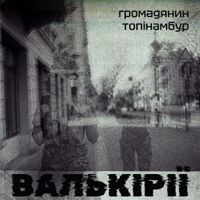 Громадянин Топінамбур - Валькірії