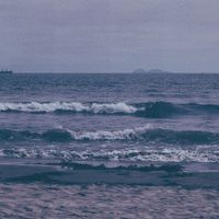 Beach Cowboys - Is that the truth?