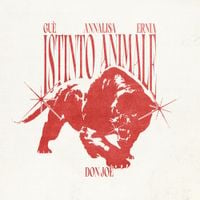 Don Joe - Istinto Animale