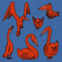 Deem Spencer - all these crying birds
