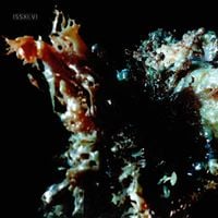 Various Artists - ISSXI.VI | EP6