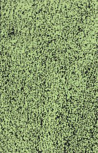 LaDonna Smith - Green