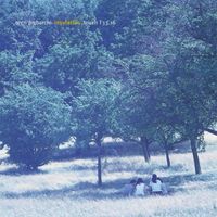 Oren Ambarchi - Insulation