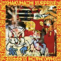 Shakuhachi Surprise - Space Streakings Sighted Over Mount Shasta